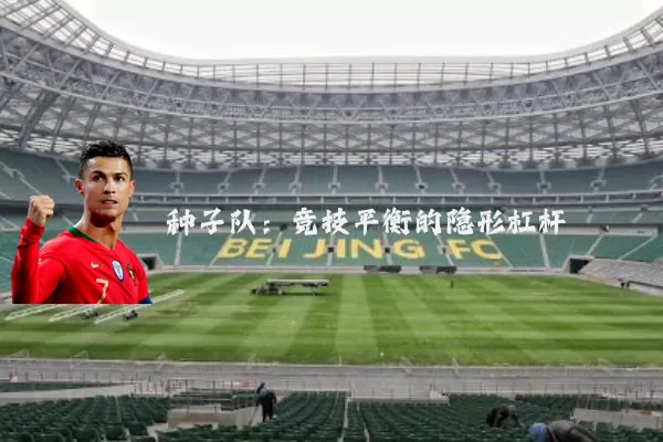 种子队：竞技平衡的隐形杠杆